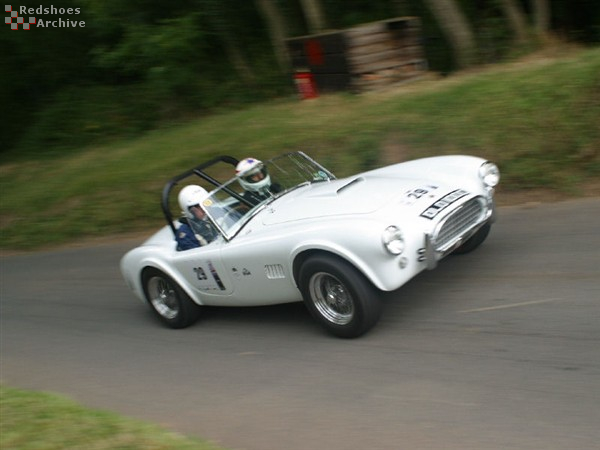 AC Cobra MkII 289