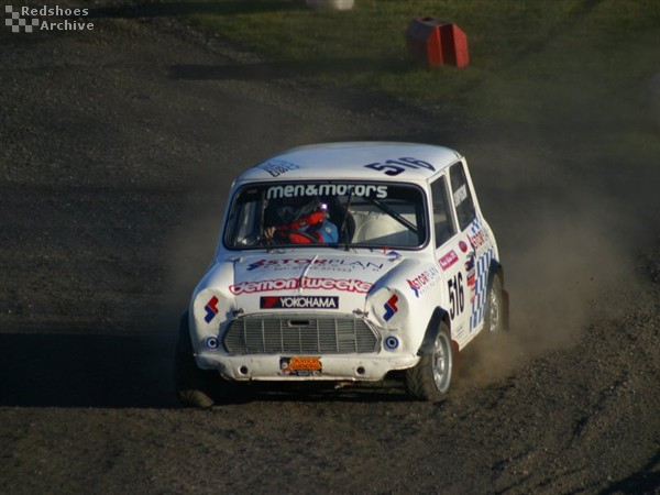 Ashley Simpson - Mini