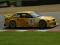 Brown / White - BMW GTR