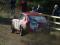 Robin Morgan / Louise Towers - MGC GT