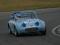 Nigel Adams - Austin Healey Frogeye