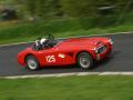 Pat Cooper - Austin Healey 100/6