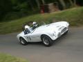AC Cobra MkII 289