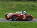 Austin Healey 100/4