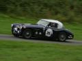 Austin Healey 3000 MkII
