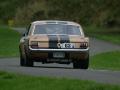 Ford Mustang 289
