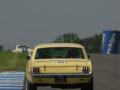 Ford Mustang 289