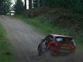 Tom Walster / Paul Wiliams - Ford Fiesta ST