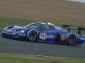 Scuderia Playteam Sarafree Maserati MC12 GT1