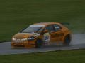 Gordon Shedden - Honda Civic