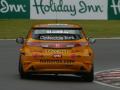 Gordon Shedden - Honda Civic